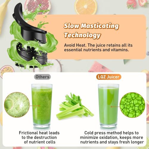 LQZ Cold Press Juicer, Masticating Juicer with Wide Feed Chute, Slow Juicer Machines Fit Whole Vegetables and Fruits with High Juice Yield, Easy to Clean (Black)