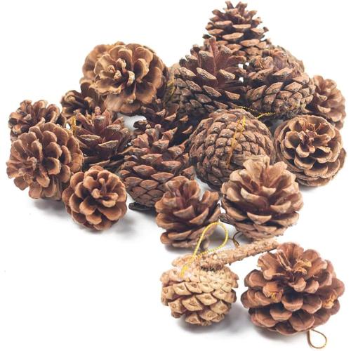 JOHOUSE 18PCS Hanging Natural Pine Cones (1.5–2.5), Rustic Pinecones with Strings for Garland, Christmas Tree Ornaments, Wreath Making, Vase/Bowl Filler Decor