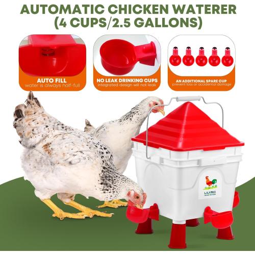 Lilyang Standing Chicken Feeders and Chicken Waterers, 2.5 Gallon Chicken Water Feeder with 4 Cups, 13.5 lb Automatic Chicken Feeder No Waste, for 8-10 Adult Chickens or 10-15 Quails (Standing)