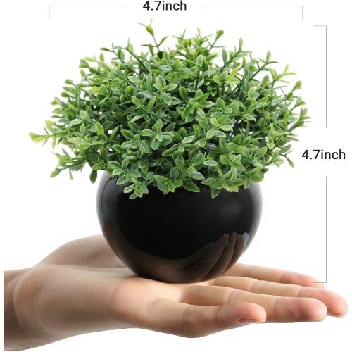Velener Fake Sage Plants for Shelf Decor, Small Artificial Succulents Grass Desk Plant for Office Women, Mini Faux Plant Indoor, Masculine Home Decor, Coffee Table Decor, Bathroom Decor (2 Pack)
