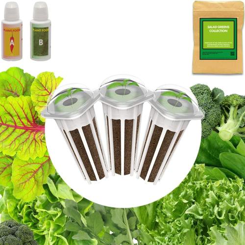 LYKO Lettuce Spinach Broccoli Seed Starter Kit for Hydroponics Growing System, Vegetable Pod Kits for Planting Indoor Garden 500  Seeds (Lettuce, Arugula, Green Chard, Broccoli, Spinach) - 3 Pods