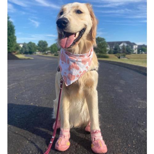 QUMY Dog Shoes for Large Dogs, Medium Dog Boots & Paw Protectors for Winter Snowy Day, Summer Hot Pavement, Water-Resistant in Rainy Weather, Outdoor Walking, Indoor Hardfloors Skid-Resistant Sole