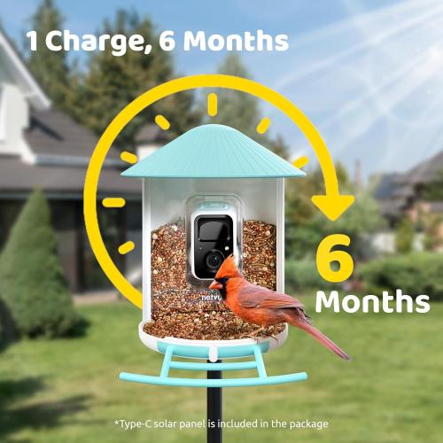 NETVUE by Birdfy Smart Bird Feeder with AI Camera Solar Powered, 2MP Wireless Wildbird Watching, Live Stream & Night Vision, Auto-Capture & Notify, Collection & Cloud Storage (AI by Subscription)