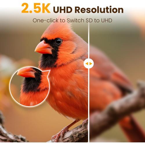 Bird Feeder with Camera, Smart Bamboo Bird Feeder, 2.5K UHD AI Identification, Real-time Videos & Pictures, Wireless Solar Powered Outdoor, Ideal for Garden Birding, Premium Present