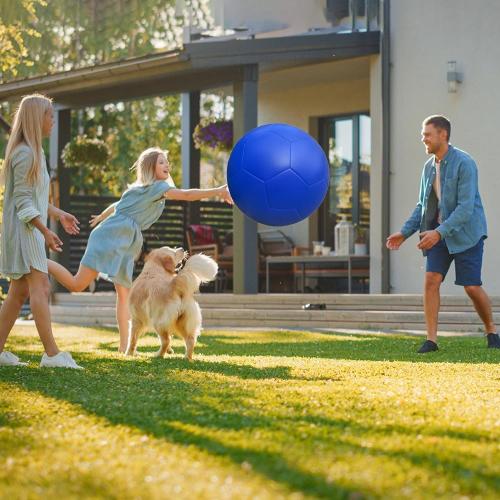 BLUE Herding Ball for Dogs, PU 20 Collie Balls for Australian Shepherd, Border Collies | Pet Toys Large for Gifts