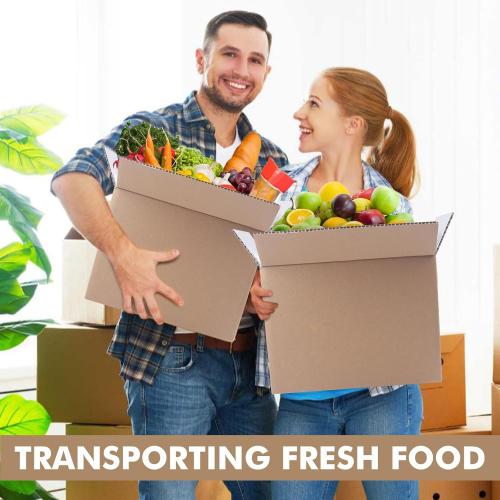 6 Pack Insulated Shipping Box Honeycomb Paper, Insulated Carton with Aluminum Foil Liner, Reusable Large Foil Cooler Carton Moving Kits for Mailing Packing 11 x 6.1 x 7.87