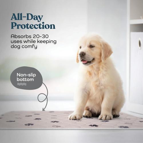 Pack of 2 Color Grey Super Absorbent Washable Pee Pads for Dogs - 2-Pack Superior Reusable Puppy Pads Pet Training Pads –100% Waterproof Dog Pee Pad Protects Against Urine Leakage Non-Slip Grip Prevents Slipping& Bunching