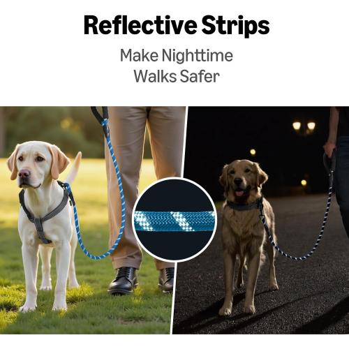 Amazon Basics Round Dog Leash, Heavy Duty, Durable Rope for Small, Medium, and Large Dogs, Lightweight Design for Walking, Training, and Outdoor Activities, Blue, 6 Ft