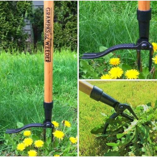 Grampa's Weeder - The Original Stand Up Weed Puller Tool with Long Handle - Made with Real Bamboo & 4-Claw Steel Head Design - Easily Remove Weeds Without Bending, Pulling, or Kneeling.
