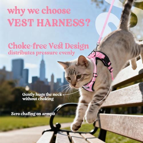 Size XS rabbitgoo Cat Harness and Leash for Walking, Escape Proof Soft Adjustable Vest Harnesses for Cats, Easy Control Breathable Reflective Strips Jacket, Pink