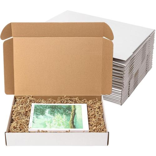 17x11x3 Shipping Boxes 20 Pack White**** Corrugated Cardboard Mailing Boxes for Small Business - Flat Literature Mailer Packaging Supplies