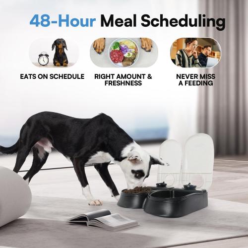 PAWISE Automatic Pet Feeder for Cats and Dogs,Dog Automatic Feeders with Timer, Automatic Cat Feeders with Ice Pack (2 Meal-1)