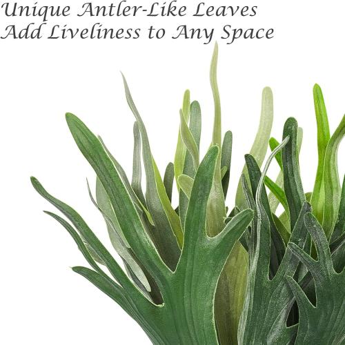 Size 20.9 Velener Artificial Staghorn Fern Plants Without Pot-20.9 Inches, Unique Waterproof Faux Staghorn Fern for Garden, Fall Autumn Decoration