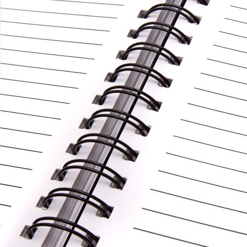 Binditek 100 Pack Double Loop Wire Binding Spines, 1/2Inch Binding Wire for Letter Size, 3:1 Pitch, 100 Sheet Capacity, 32-Loop, Black, for Students and Coworkers