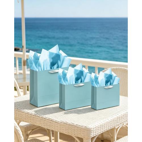 qiqee 10PCS Lake Blue Gift Bags with Ribbon Handles Mulit Assorted Sizes Gift Wide Bags (2pcs Large 13, 4pcs Medium 9.6, 4pcs Small 6.3,Tissue Paper)
