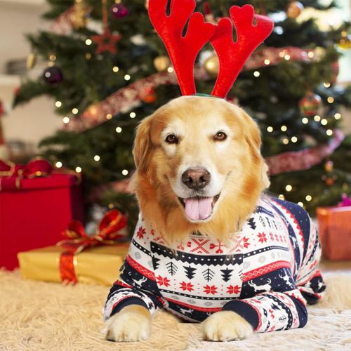 Dog Recovery Suit After Surgery Female Male, Medium Large Dog Neuter Shirt Cone Alternatives Prevent Licking Surgical Onesies (Christmas Blue, XL)