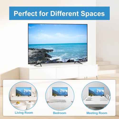 Dinghosen Metal TV Legs for TCL TV Stand Legs 70 75 70S446 75S451 75S453 75S455 75S421 75S423 75S425 75S431 75S435 75S433 75S555 75S551 75S553 75S446 75S434, Replacement for Roku TV Stand
