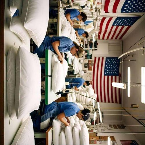 50/50 Goose Feather Down Queen Pillows 20x30 Inch Medium Support with 100% Cotton Shell – 2 Pack(Standard (Pack of 2))