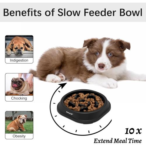 Slow Feeder Dog Bowl