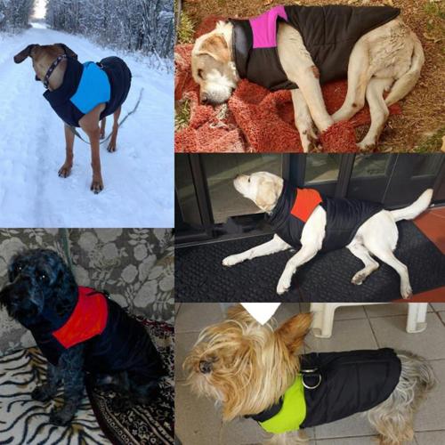 Medium Dog Oversize Clothes Puppy Coat Vest Pet Ski Vest Dogs Cotton Vest Pet Ski Jacket Winter Fall Warm Apparel Outfit Waterproof