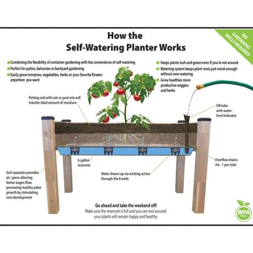 CedarCraft Self-Watering Elevated Cedar Planter (22” x 48” x 30 H) - Flexibility of Container Gardening Convenience of Self-Watering. Grow Healthier, More Productive Plants. No Tools Required