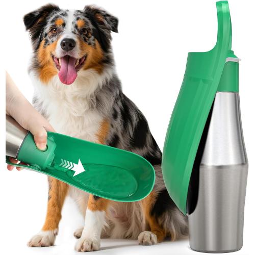 Stainless Steel Dog Water Bottle - 27 oz