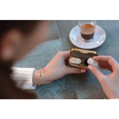 Sony WF-1000XM3 Industry Leading Noise Canceling Truly Wireless Earbuds Headset/Headphones with Alexa Voice Control And Mic For Phone Call, Silver