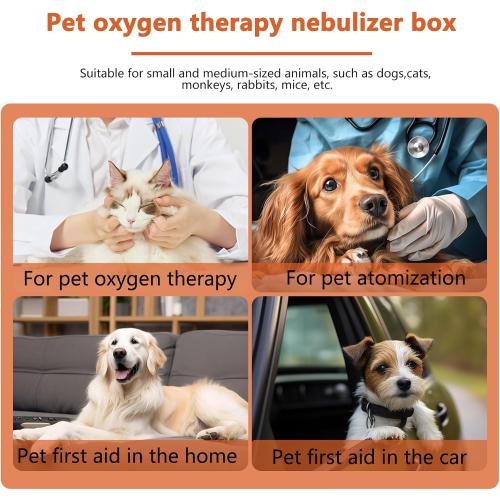Yellow and Grey Pet Nebulizer Nest, Cat & Dog Oxygen Chamber, Small Pet Oxygen Inhalation Box (Gray, Intermediate)