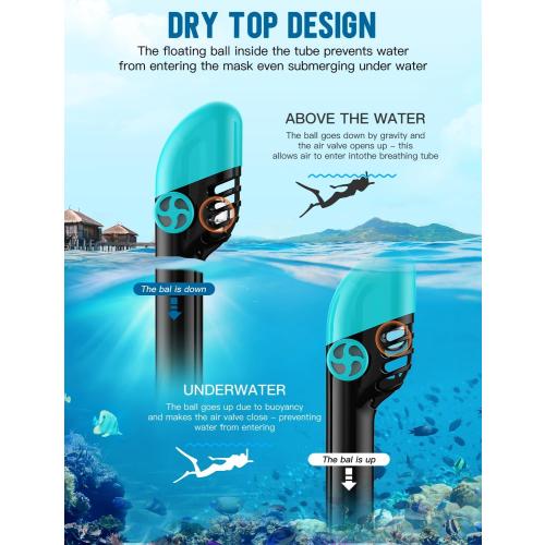 Zenoplige Full Face Snorkel Mask Adults,Dry-Top Snorkeling Gear with Camera Mount,Foldable 180-Degree Panoramic Scuba Mask for Snorkeling Diving Swimming Travel,Snorkel Mask Anti-Fog & Anti-Leak