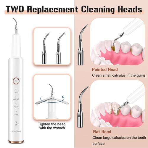 Plaque Remover for Teeth, Electric Tooth Cleaner Tartar Remover for Teeth with LED Light,4 Modes Rechargeable Teeth Cleaning Kit with Dental Tools, 2 Replaceable Heads (White A)