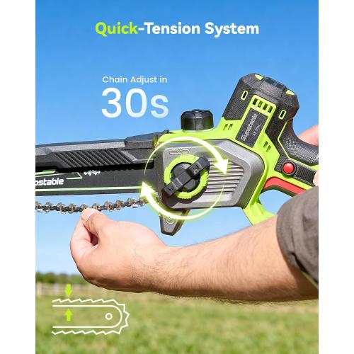 10 Inch Electric Pole Saws for Tree Trimming, 1000W Brushless Pole Saw and Mini Chainsaw 2 in 1, 2*4000mAh Battery, Lightweight Tree Saw with Extension Pole, 16Ft Max Reach Tree Trimmer Branch Cutter