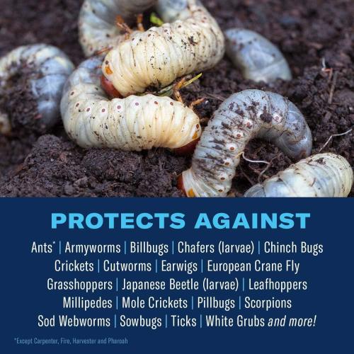 BioAdvanced 24-Hour Grub Plus for Lawns, Ant, Tick, Insect Killer Outdoor, 10-Pounds, Ready-to-Spread Granules, Standard Bag