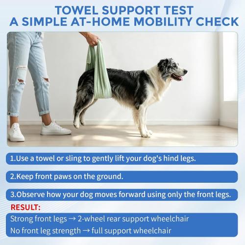 Snugrance Large Dog Wheelchair for Back Legs, Adjustable Rear Leg Wheelchair Support Cart with Breathable Air Mesh Harness for Arthritis Paralysis Post-Surgery Recovery, Check Size Chart Image for Fit