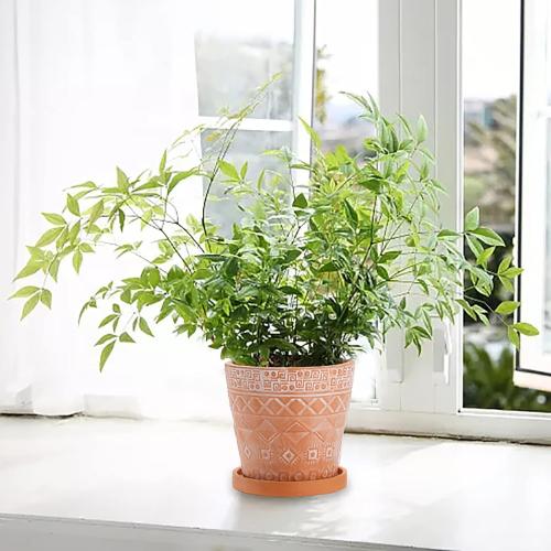 Cedilis 2 Pack Terracotta Pots, 5 Inch Red Clay Planter Pots with Drainage and Saucers, Ceramic Pottery Succulent Planter, Garden Cactus Flower Planters with White Geometric Designs