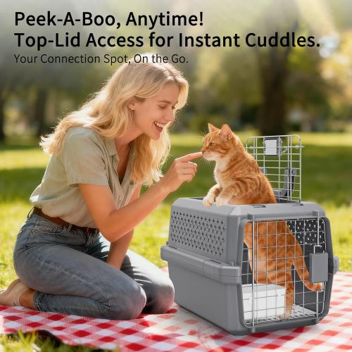 RIZZARI Airline Approved Pet Carrier for Cats & Small Dogs, Travel Crate | Hard-Sided Protection,Secure Locking Door,Excellent Airflow,Comfortable Travel,Lightweight Design