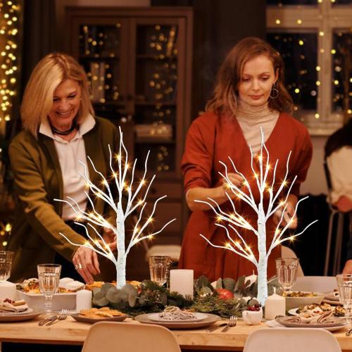 PEIDUO Christmas Decorations Indoor, 2 FT Birch Tree with LED Lights, Fairy Light Spirit Tree for Christmas Decor, Warm White Lighted Birch Trees for Home Decor Indoor, Battery Powered, Timer (2PK)