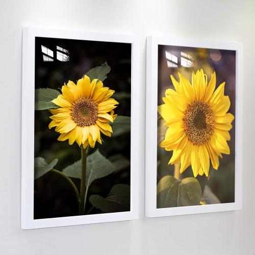 16x20inch Picture Frame 2 Pack White Solid Wood Display Pictures 12x16 with Mat or 16x20 Wall Without Mounting Photo Frames（2pcs）