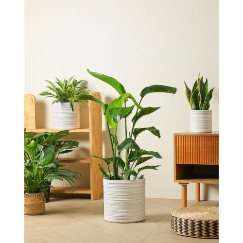 Fayoula Ceramic Planter, 10 8 6 Inch Plant Pots, Modern Striped Indoor/Outdoor Flower Pots for Succulents, Herbs, Home Office & Patio - Includes Mesh Pads & Saucer, Set of 3