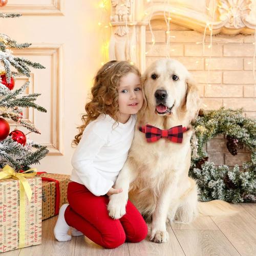 Malier Dog Cat Collar with Bow tie Christmas Plaid Dog Collar with Light Release Buckle for Small Medium Large Dogs Cats Pets - Small