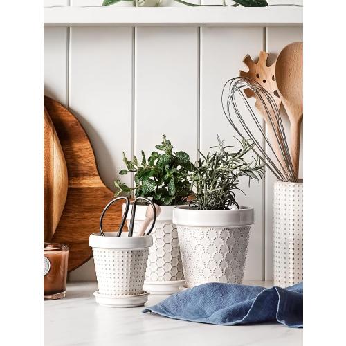 Size 4 inch set of 4 Color White LE TAUCI Ceramic Succulent Pots, 4 Inch Small Plant Pot for Indoor Plant Cactus, Embossed Flower Pots with Drainage Hole & Saucer - Set of 4, Arctic White