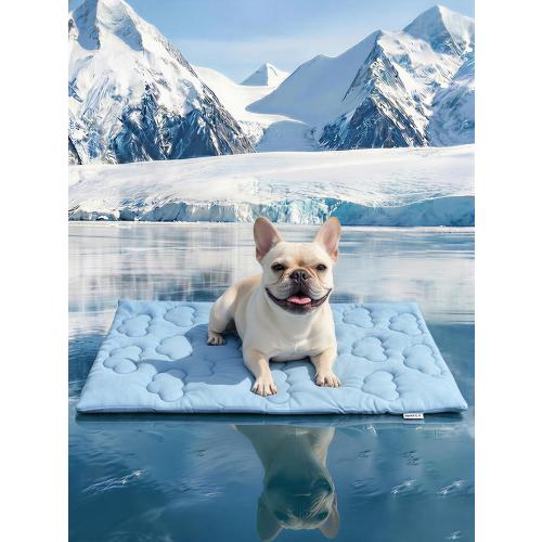 Huafly Dog Cooling Mat,Dual-Sided Cooling Mat for Dogs–Cooling Fabric for Summer,Velvet for All Seasons–Portable for Crate,Car Seat,Sofa&Floor,Machine Washable,Keeps Cats,Dogs&Puppies Cool,Cloud Blue