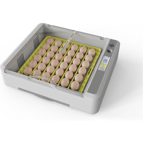 Egg Incubator for Hatching Chicks, 36 Eggs Automatic Turner with Temperature & Humidity Control, Multifunctional Ultra-Clear Panoramic View with Hatch Days & Egg Candler for Chicken, Duck, Goose, Bird