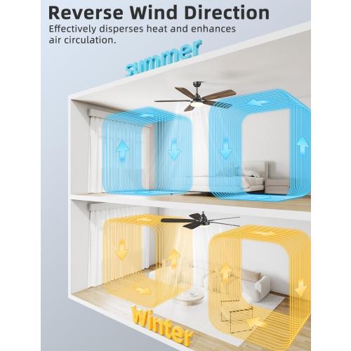 Size 52 Ceiling Fans with Lights and Remote, 52 Inch Modern Ceiling Fan with Light, Downrod & Flush Mount, Quiet DC Motor, Dual Finish 5 Blades Ceiling Fan for Bedroom Living Room Farmhouse Indoor