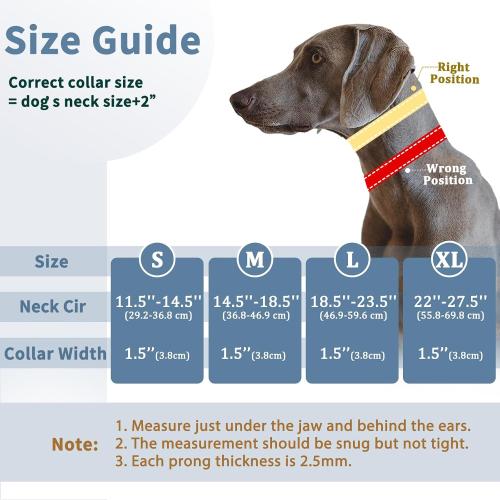 Mayerzon No Pull Dog Collar, Patented Martingale Collar for Small Medium Large Dogs with Buckle and Heavy Duty Nylon for Walking Training Hunting, Safe and Easy to Use(XL, Blue)