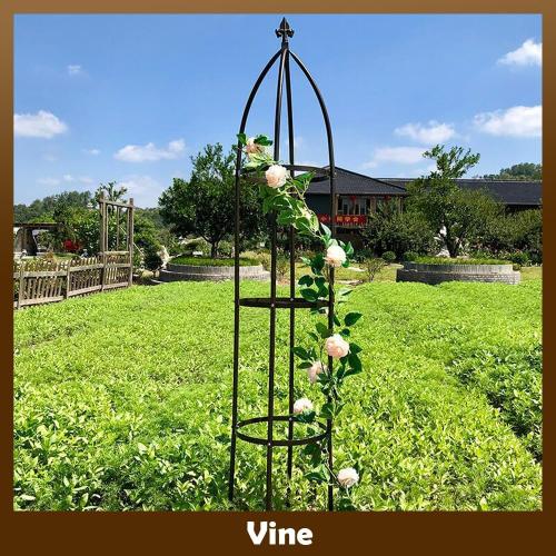 100% Metal Obelisk Garden Trellis 6.3 Feet Tall Sturdy Plant Support for Climbing Vines and Flowers Stands,1pc Upgrade