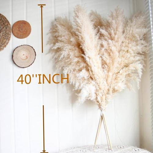 11pcs 40'' Pampas Grass Tall Decor - Pompas Floral, Tall Pampas Grass for Floor Vases, Living Room Floor, Floor Plants, Plumas para, and Grass Wall Decor