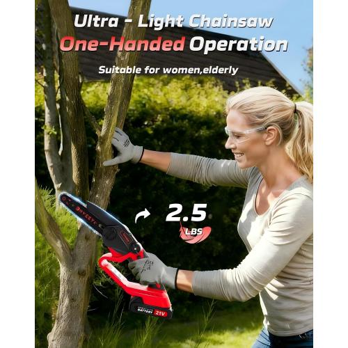 2-in-1 Cordless Pole Saw for Tree Trimming, 800W Brushless 6 Inch Mini Chainsaw, Lightweight Tree Trimmer with 2x 21V Batteries & Extension Pole for High Tree Pruning & Yard Work (DZJ3028)