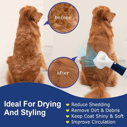 3-in-1 Pet Hair Dryer & Slicker Brush for Dogs & Cats – Portable, Professional, Adjustable Temp, Overheat Protection Dog Hair Dryer