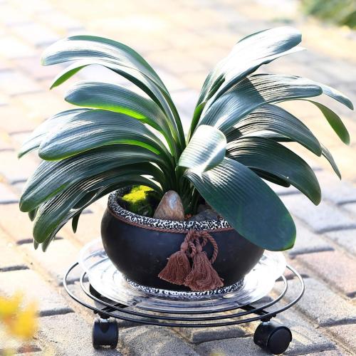 6 Packs Large Metal Plant Caddy with Wheels 13 and 11.8 Heavy-duty Wrought Iron Rolling Plant Stands with Casters Plant Dolly Plant Roller Base Indoor and Outdoor Plant Pot Movers Planter Rollers