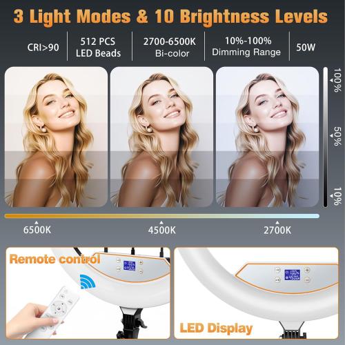 22'' Ring Light with 75'' Tripod Stand, LED Display/2 USB Ports/6500K Dimmable Ring Light for ipad Phone Holder for Tattoo Lash Live Makeup Video Recording TikTok Barber Stylist Photography